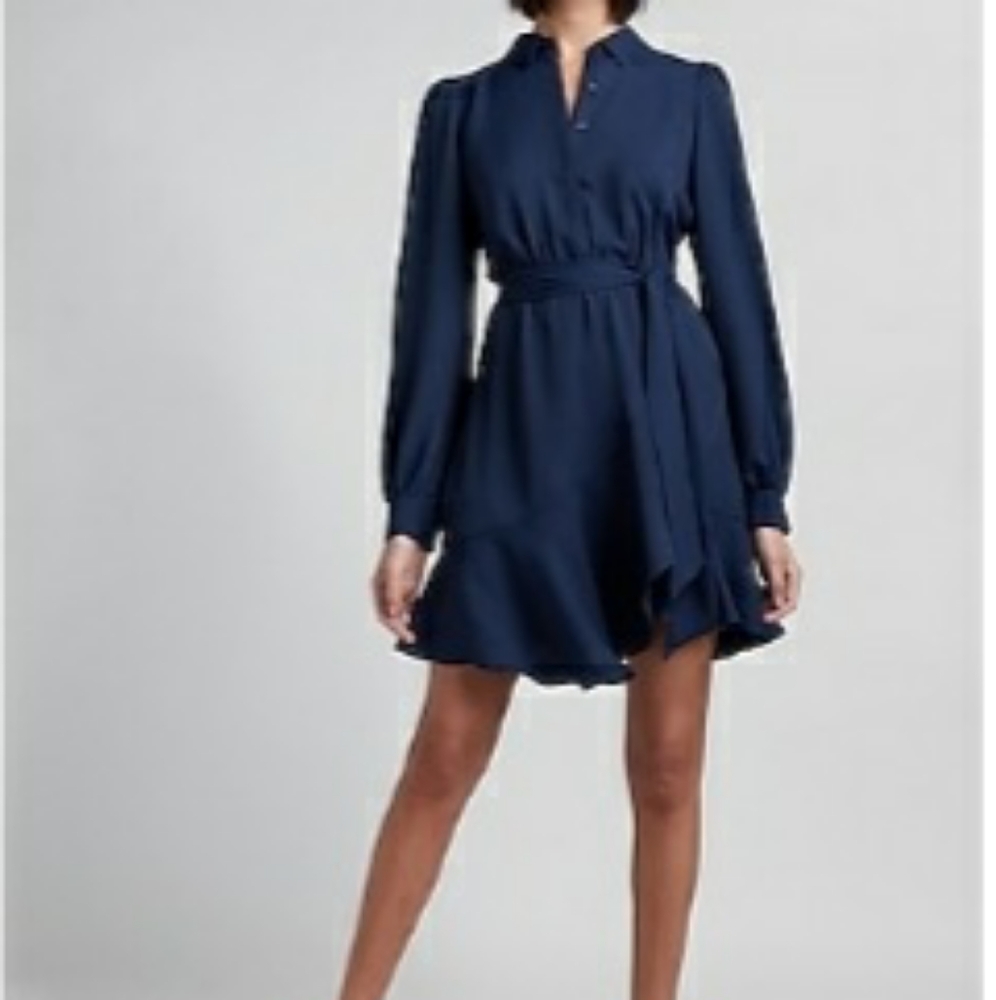 Express Dress - Picture 10 of 10